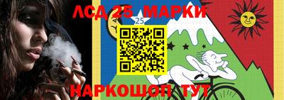 кокс Можайск