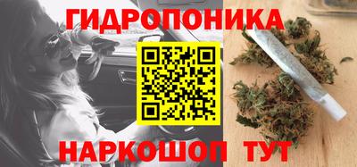 гидра Можга