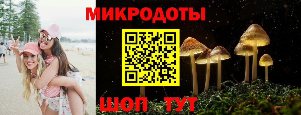 Галлюциногенные грибы Psilocybine cubensis  Псилоцибиновые грибы Psilocybe  Вход с VPN  Шелехов 
